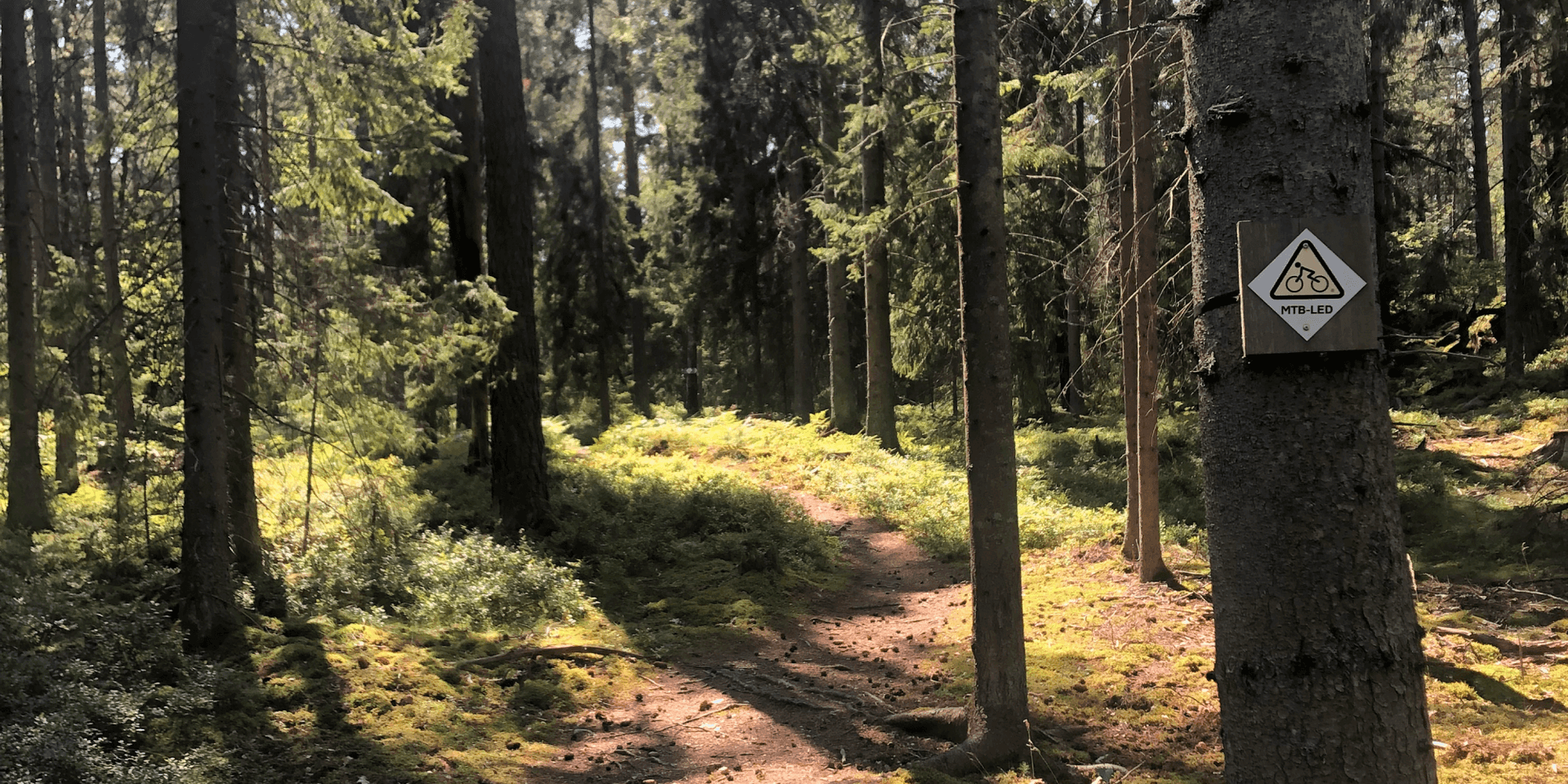 Mountainbike-led i skogen med skyltmarkering