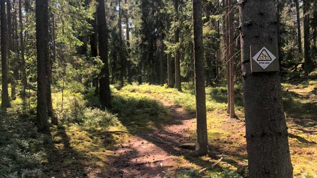 Cykled i skogen