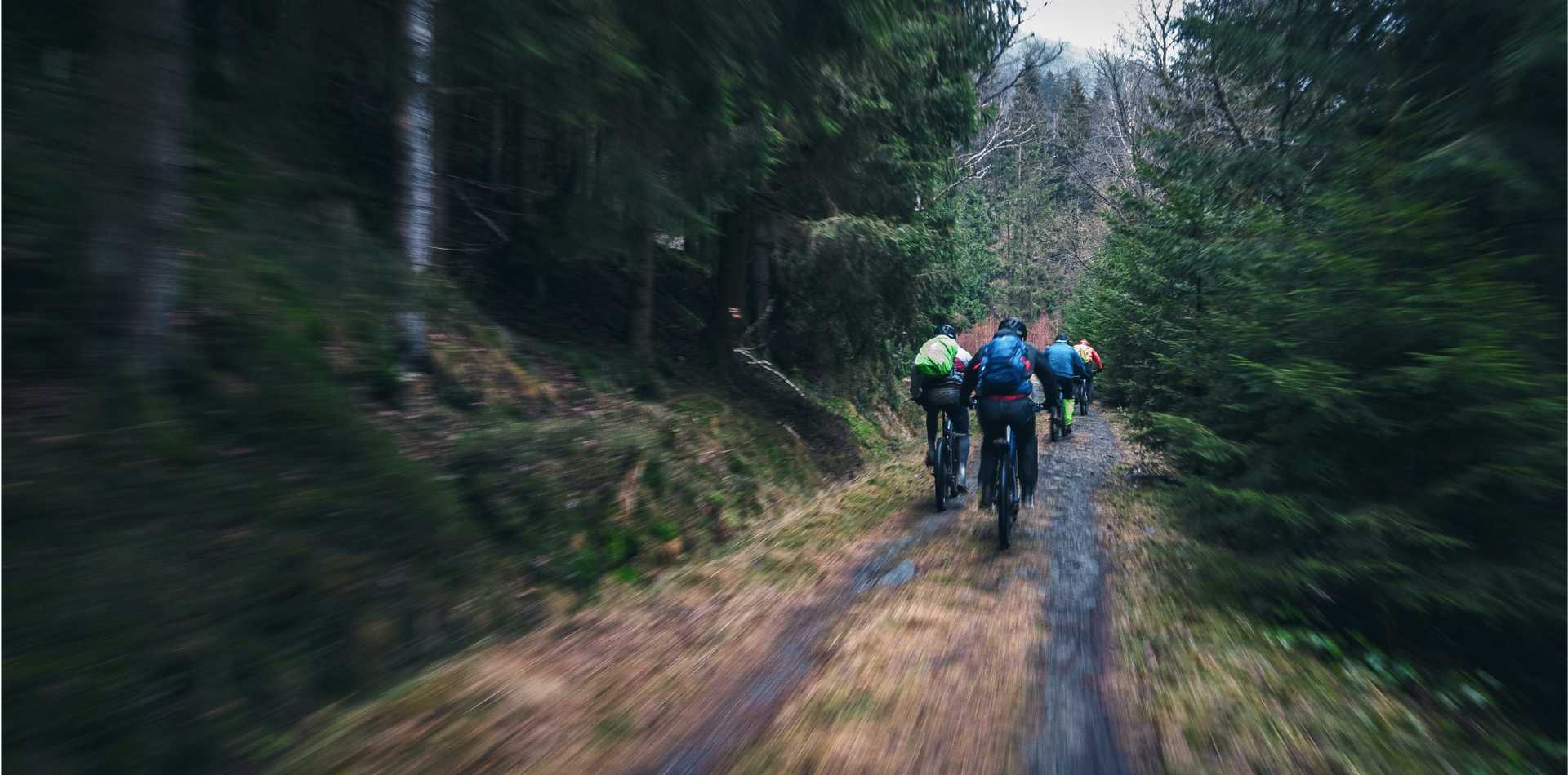 En grupp cyklister på skogsväg